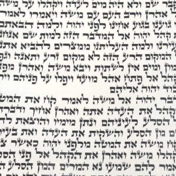 ספר תורה הארי