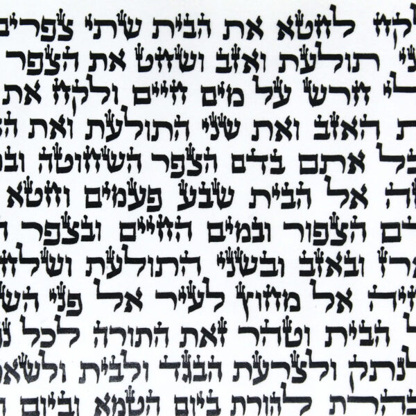 כתב ספר תורה ספרדי ועליש - הר סיני