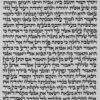 עמודה של ספר תורה ספרדי מהודר