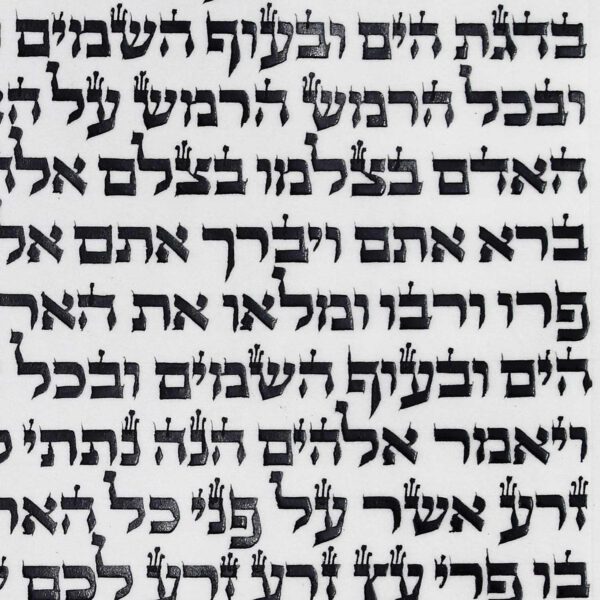 ספר תורה מהודר מחיר