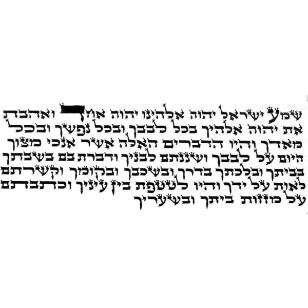 פרשית שמע ישראל של תפילין כתב האדמו"ר הזקן