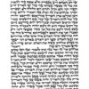 תמונת כתב ועליש בספר תורה ספרדי