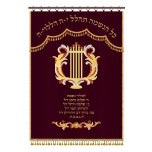 פרוכת לארון קודש