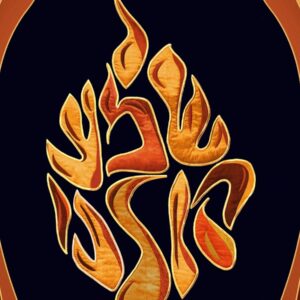 פרוכת עיצוב מודרני
