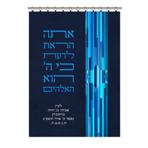 פרוכת לארון קודש