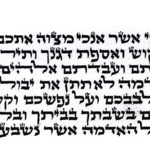 תפילין ספרדי